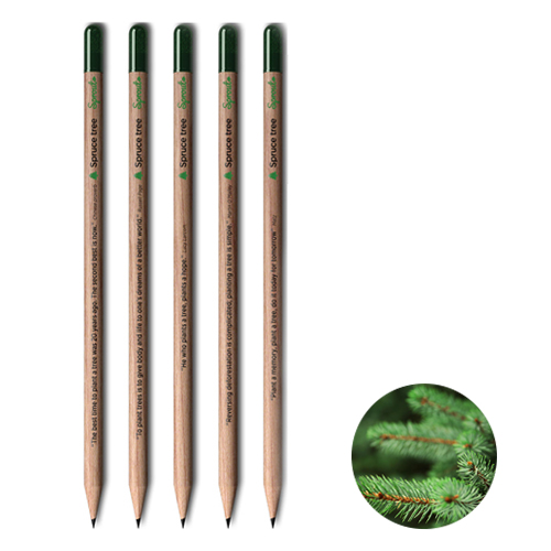 Sprout pencil tree - Image 1